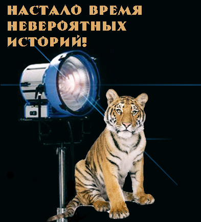 Рецепты выживания за чертой бедности