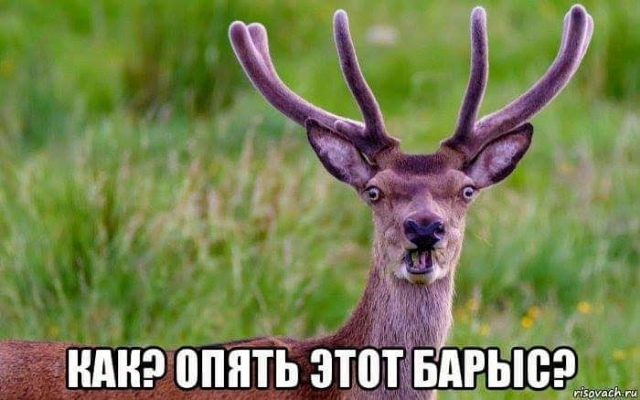 Хоккей Сезон 2018 - 2019 часть 6