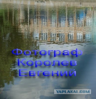 Как выглядит почти осушенный и перекрытый участок Канала имени Москвы в Тушино