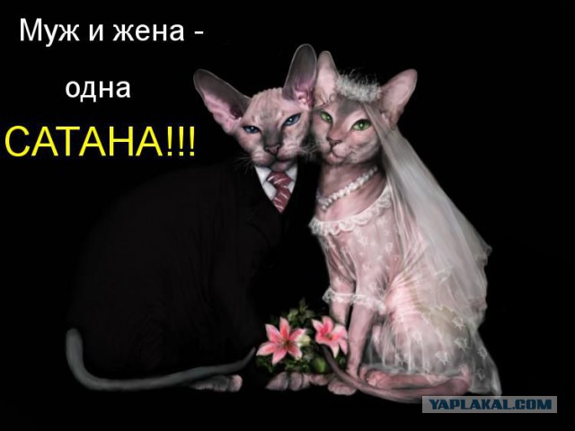Отличный сюрприз для любимой!