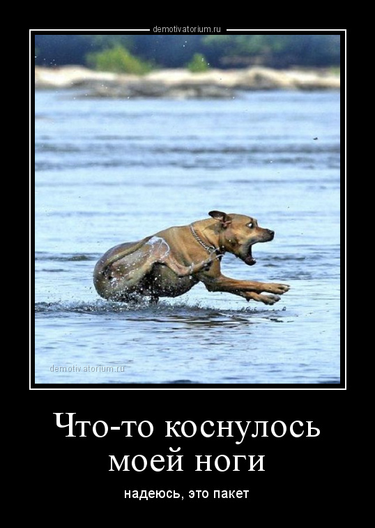 Глубоководный снег: Пир из трупов и причина гигантских существ бездны