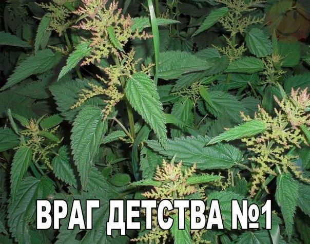 Так себе картинки на ночь