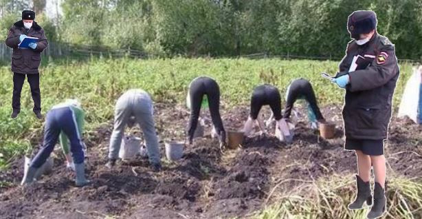 Фотожаба: Полиция штрафует