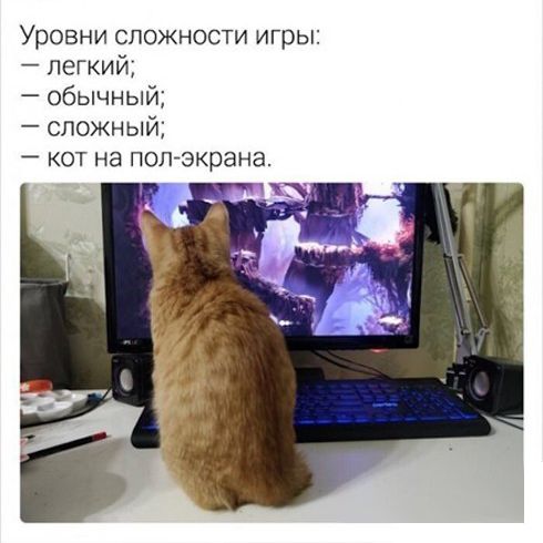 Немного картинок для настроения 06.05.20