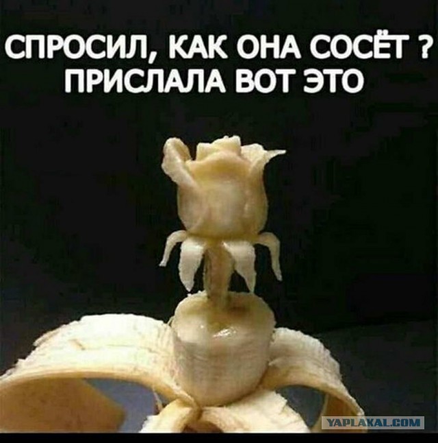 Мужчины сами виноваты в низком качестве современных женщин!
