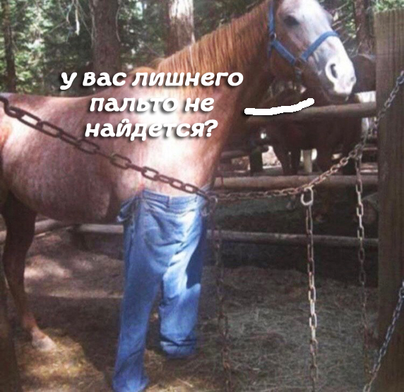 Интересное кино