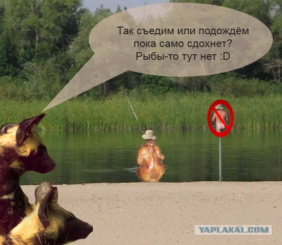 Фотожаба: Голый рыбак
