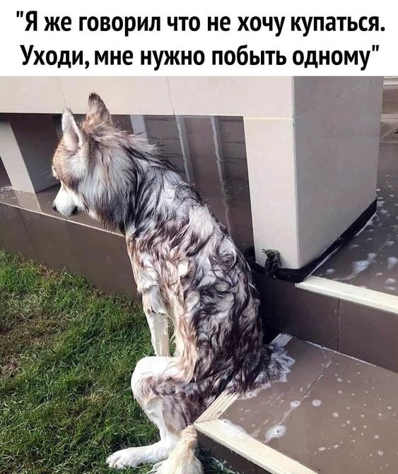 Чуток картинок 25.06.20