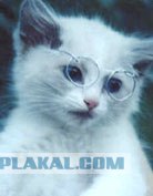 Шокирующее ПОРНО! 21+ фото