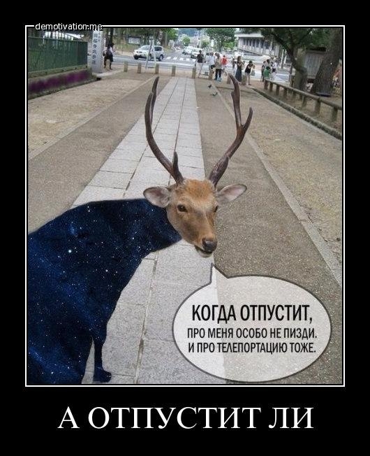 В Ижевске паника..