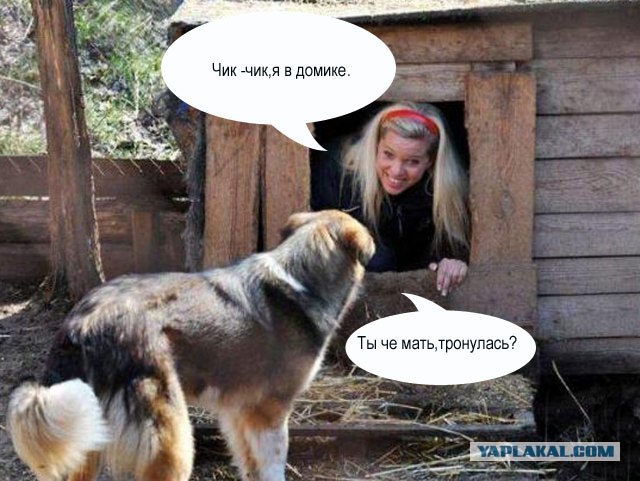 Фотожаба: Собака с Девушкой