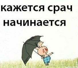 Как Twitter столкнул Алексея Навального с либералами