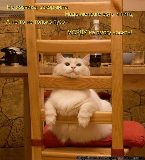 Картинки в субботу 16.01.21