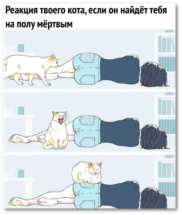 Черный юмор 3