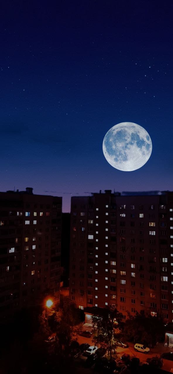Выпал снег