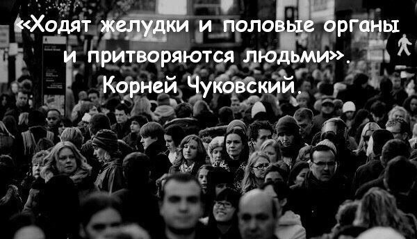Чем порадует тырнет в субботу?