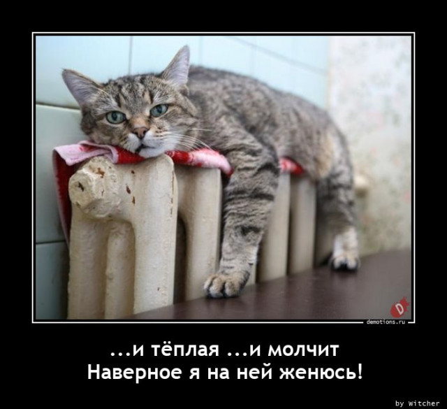 Картинки всякие 10.08.2021