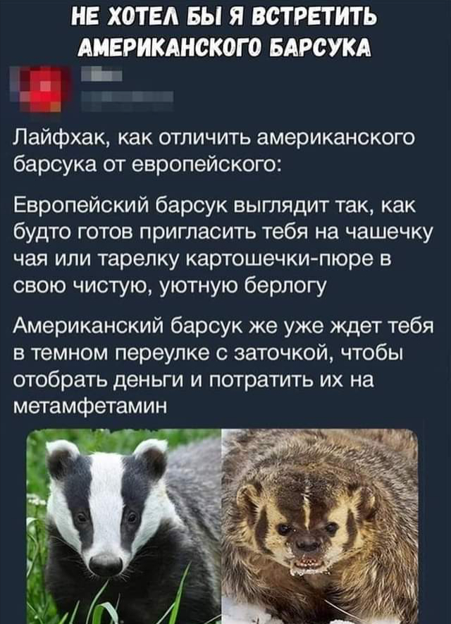 Картинки - не картинки. Смешные - не смешные 2