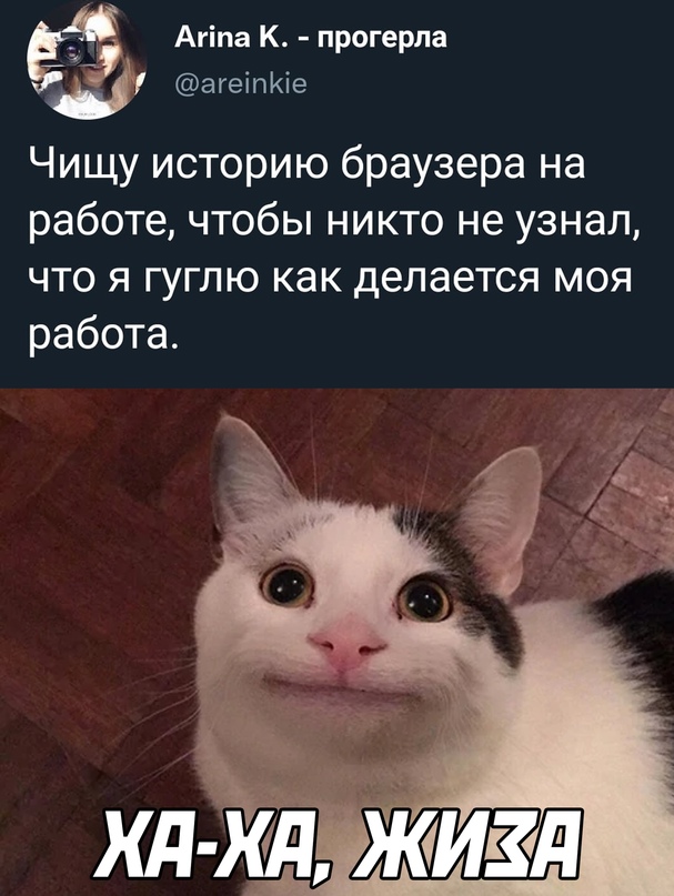 Весёлый полтишок 31.12