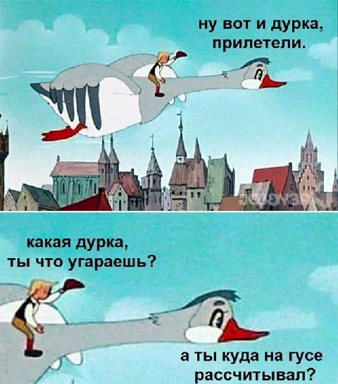 «Этих тварей надо найти».