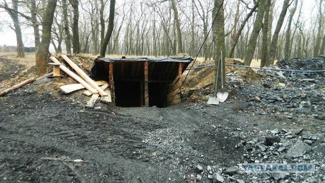 Житница, вольница, кладовая чёрного золота...