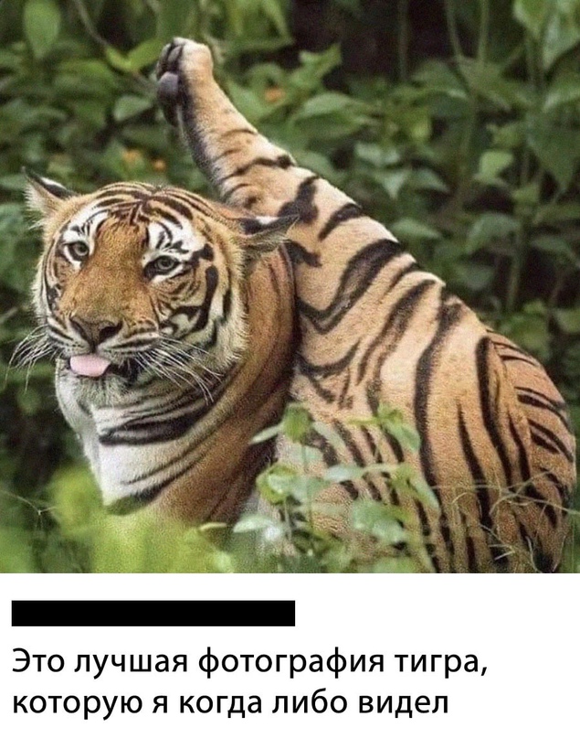 Картинки и мемы. Выходные близко...