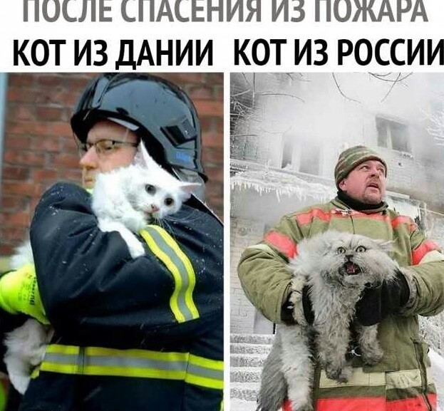Свежеспасенный