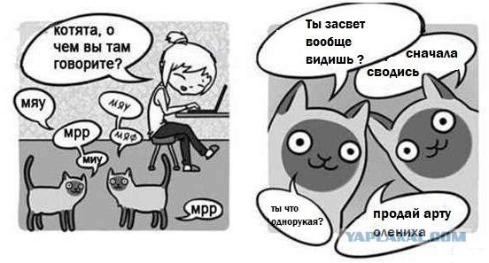 Wargaming 4
