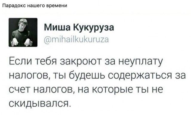 Забавные комментарии из социальных сетей 26.12.22