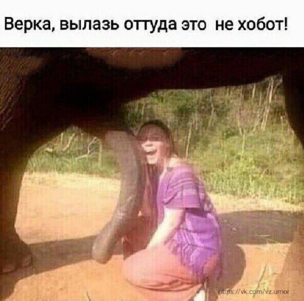 Народная меДИЧина 7000