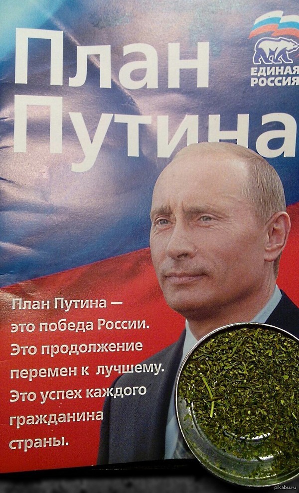 Глава ВЦИОМ пожаловался, что новое поколение российской молодёжи ставит личное благополучие выше интересов Родины