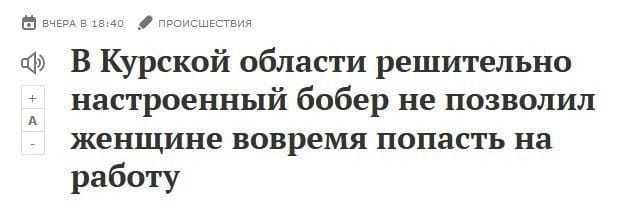 Набор картинок