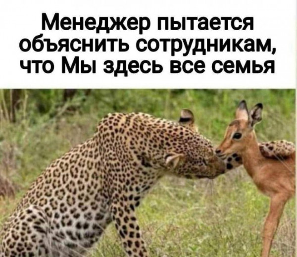 Картинки от Scodero - 6