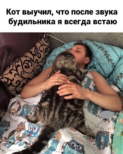 Так себе картинки 01.10.23