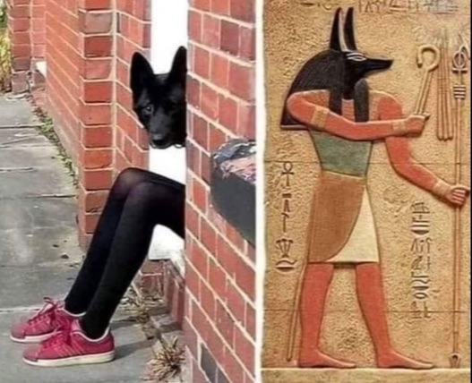 ФотоВинигрет  52 пикчи