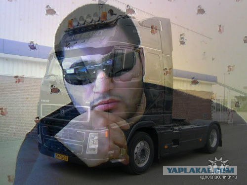 Дикие фото из социальных сетей