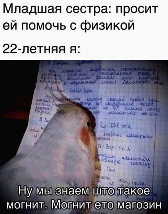 Посмеялся сам - поделись с другом!!!