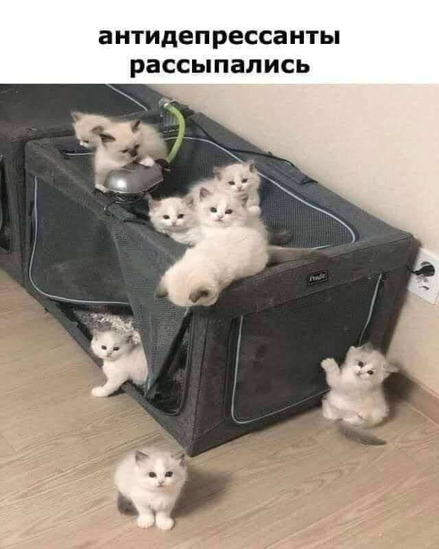 Завалялось тут случайно немного забавных картинок