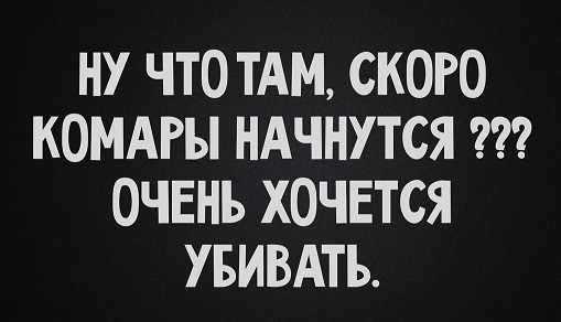 Какая муха тебя укусила?