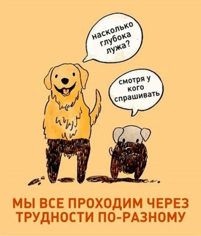 Так себе картинки 20.07.25