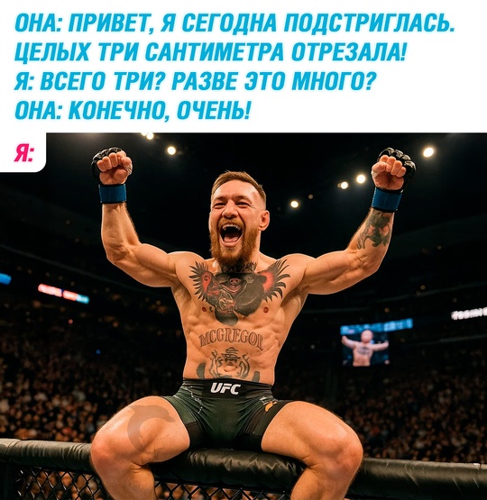 Весёлый полтишок 22.07.25