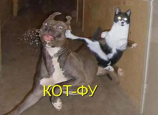 Не у дачный пост