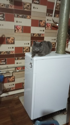 Ходим в туалет красиво