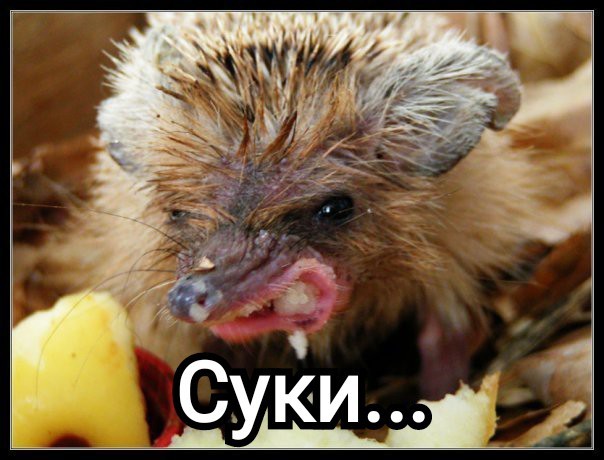 Уже скоро и у нас..