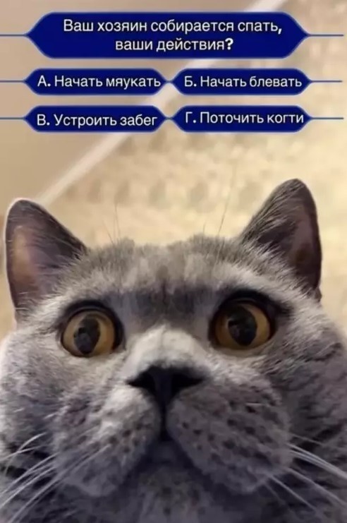 Картиночки, баянчики 17 апреля
