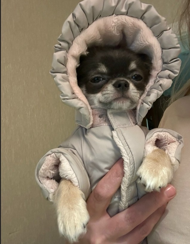 Медальон