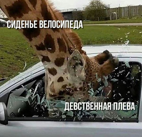 Отсутствие морально этических норм Vol.76
