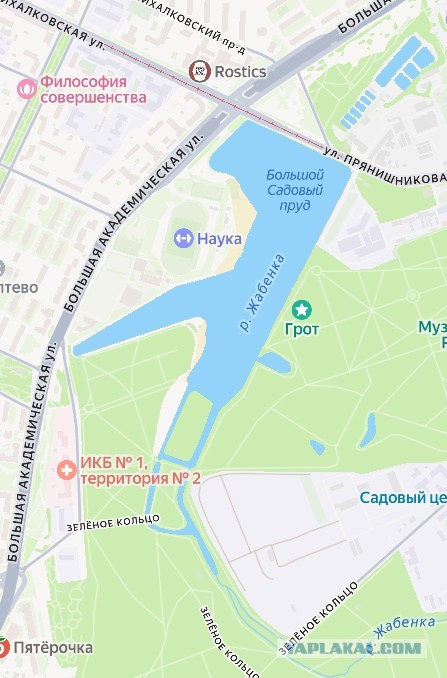 Пруд в парке Горького