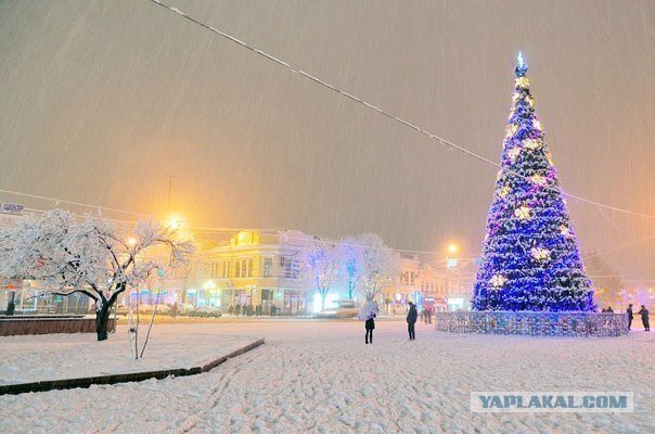 Ёлка в Харькове