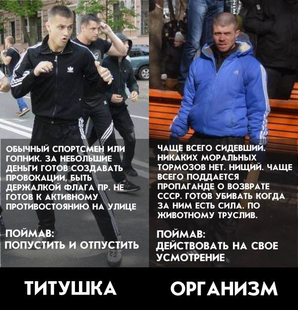 Янукович объявил в Украине досрочные президентские